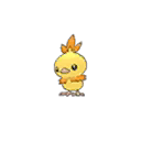 Torchic