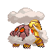 Torkoal