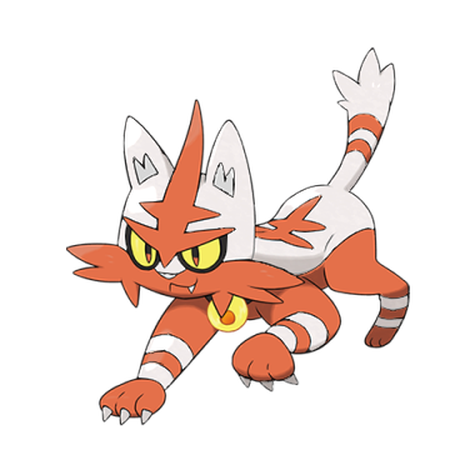 Torracat
