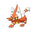 Torracat