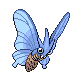 Venomoth