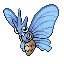 Venomoth