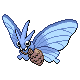 Venomoth