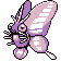 Venomoth