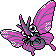 Venomoth