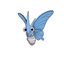 Venomoth