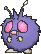 콘팡