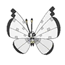 Vivillon