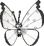 Vivillon