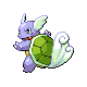 Wartortle