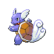 Wartortle