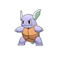 Wartortle