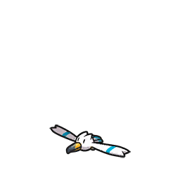 Wingull