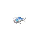 Wishiwashi
