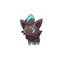 Zorua